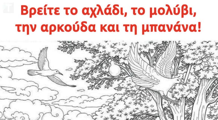 Βρείτε το αχλάδι, το μολύβι, την αρκούδα και τη μπανάνα