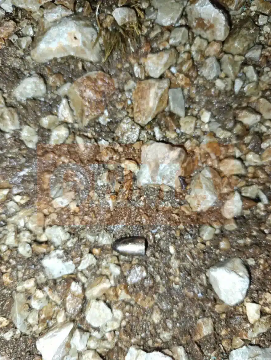 whatsapp image 2025 11 02 at 11 32 49