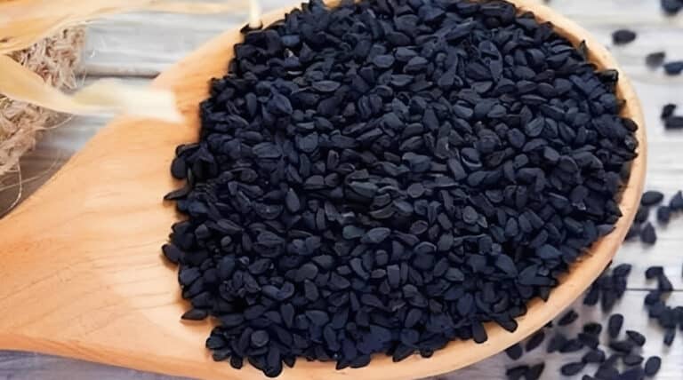 Οι μαύροι σπόροι που μειώνουν την κακή χοληστερίνη, ρυθμίζουν τον μεταβολισμό στο ήπαρ και βελτιώνουν τον γλυκαιμικό έλεγχο