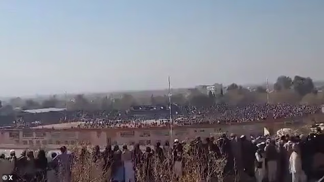 104372243 15345525 image a 2 1764692416914