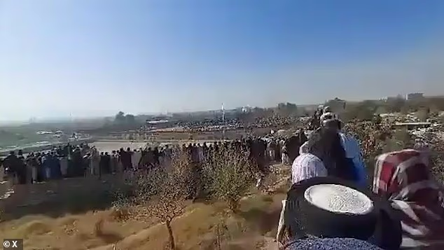 104372247 15345525 image a 1 1764692353714