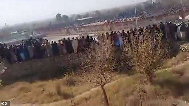 104372253 15345525 image a 4 1764687330233