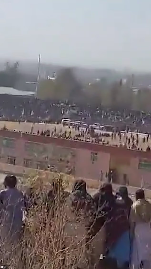 104372255 15345525 image a 1 1764687308819