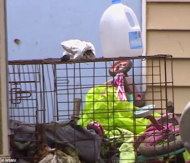 104495597 15357603 image m 6 1764977185160