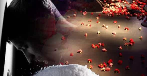 18040764107876764365 1