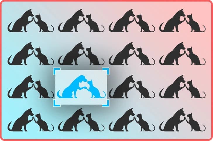 206a765cd787b9d6e8d0f899ef.jpg 11zon