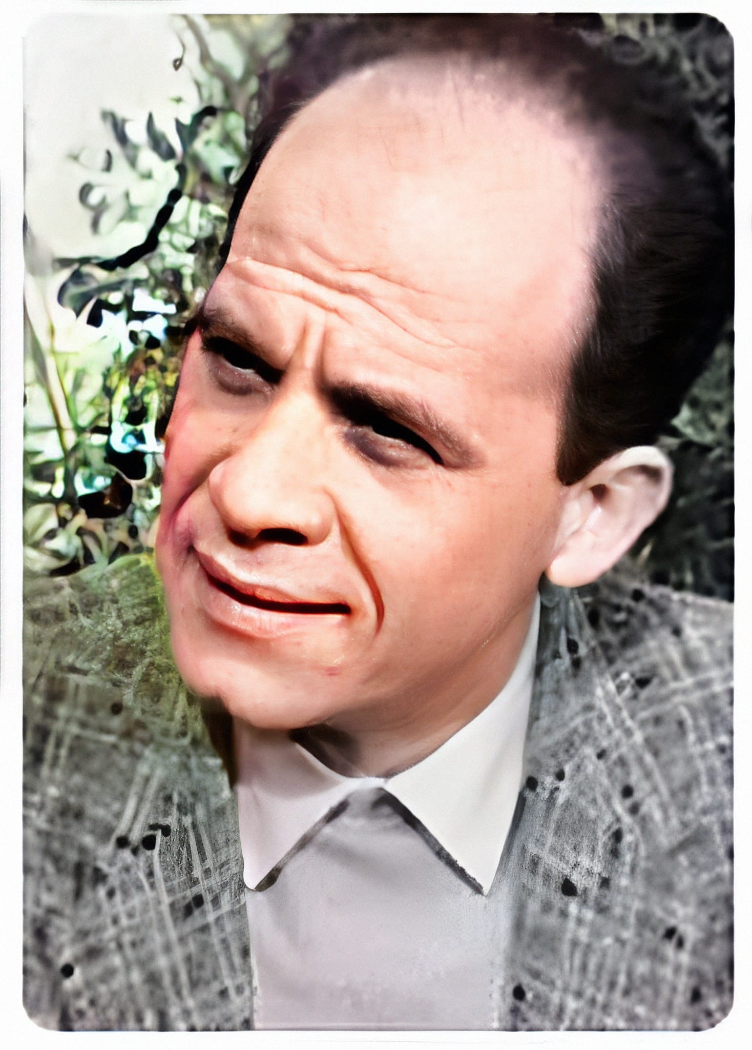 481110796 644550224655743 1459316439872281518 n