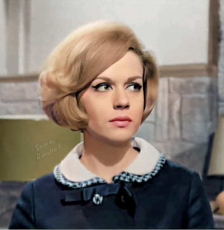 482238869 656049430172489 2792180514401417656 n