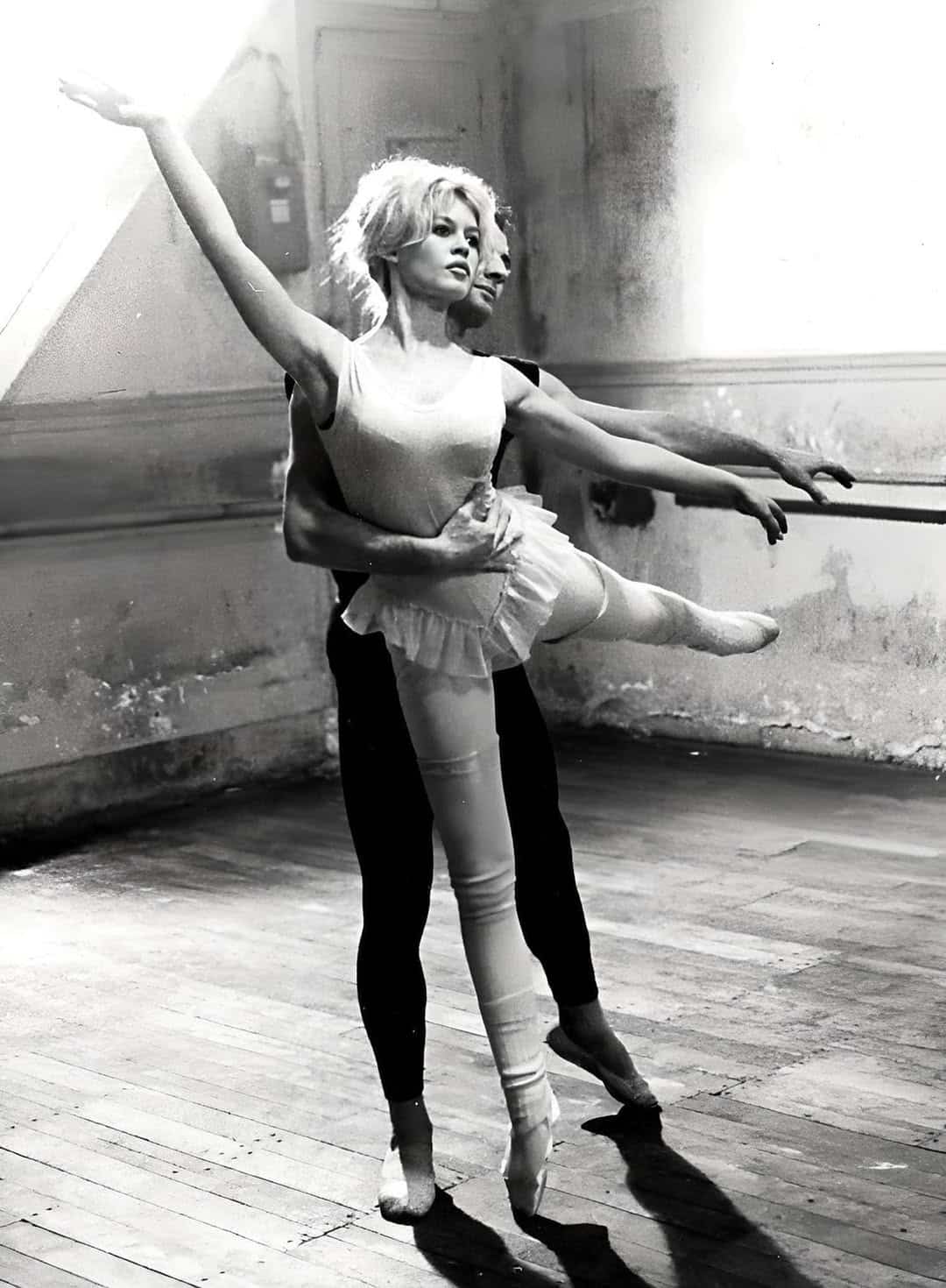 517330885 10162831627101999 4853941708848419929 n