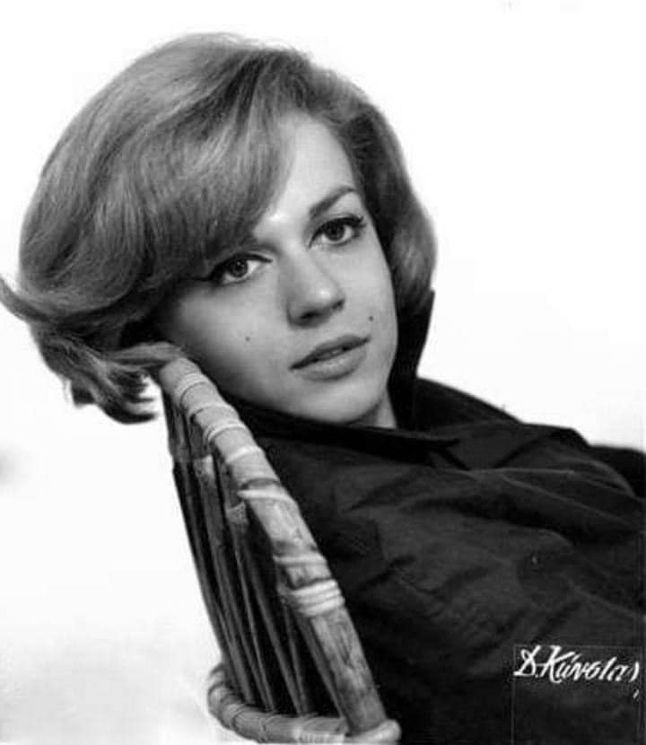 565669217 1394069958749729 432254480495670497 n