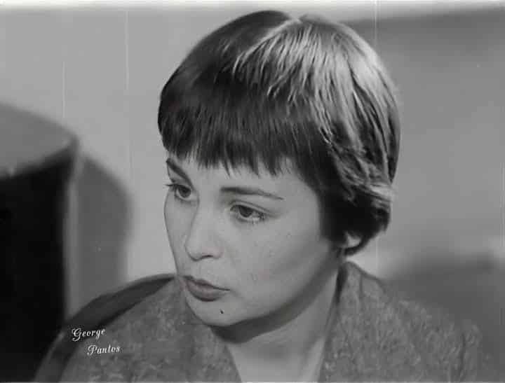 599961469 1388196466262656 2644114657557344247 n