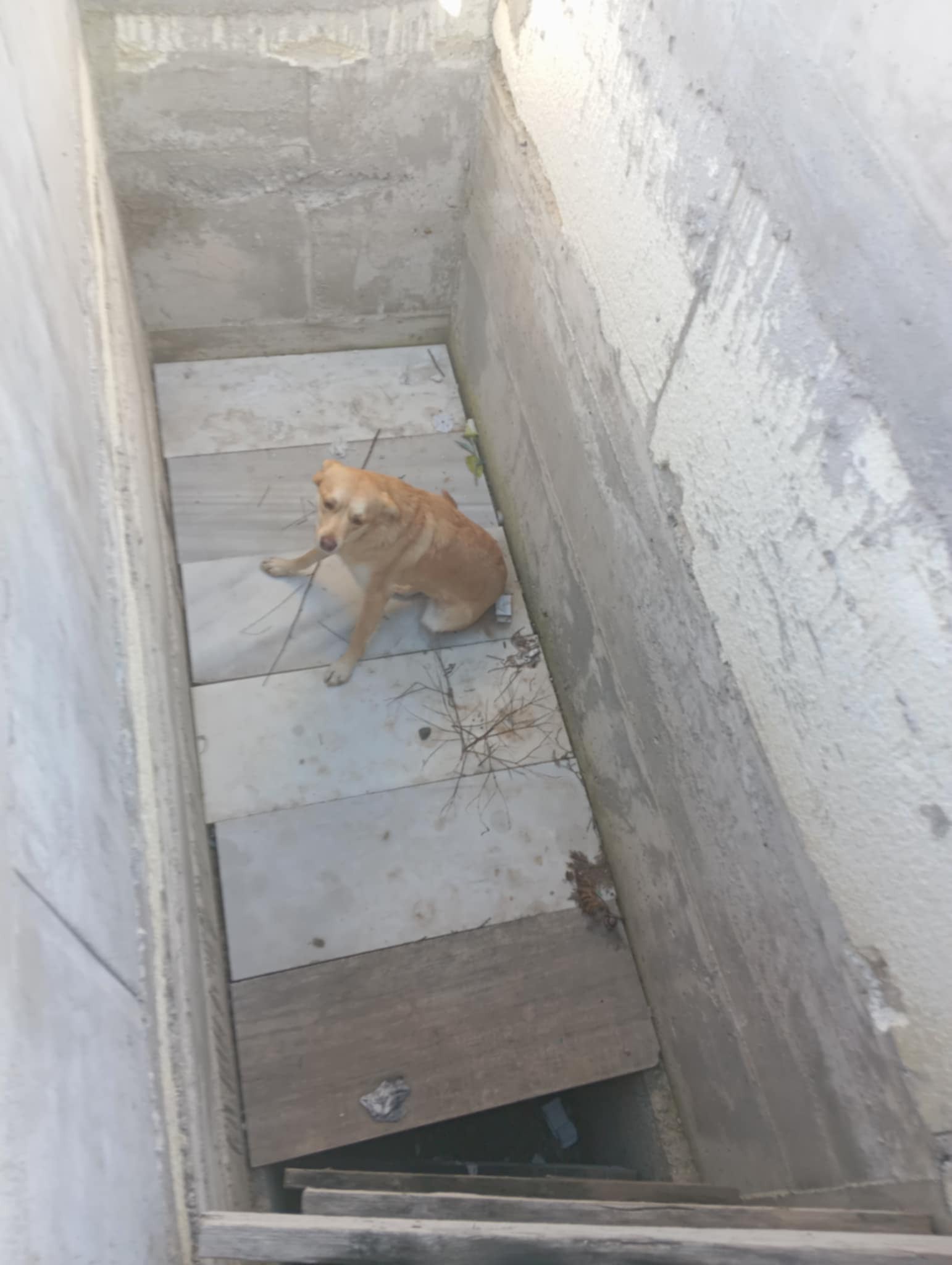 600385568 25255484320819487 263159795595734590 n