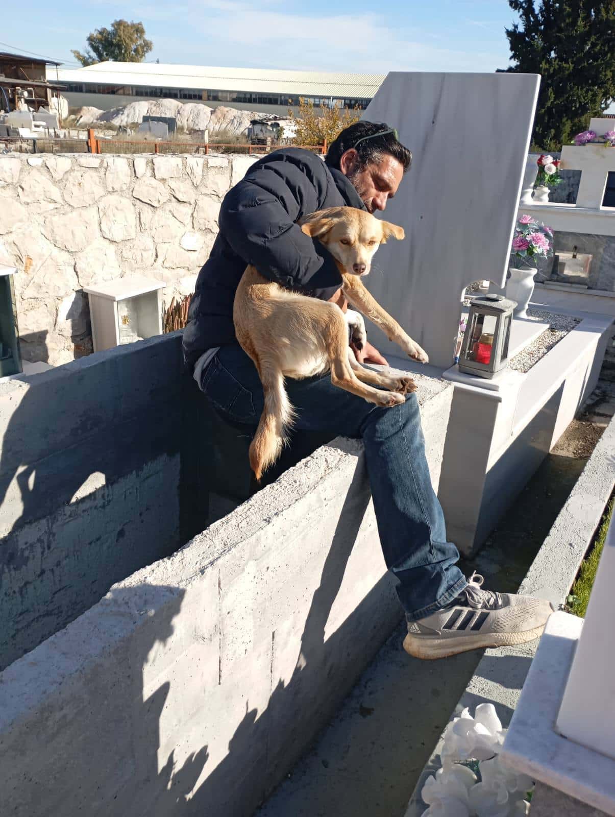 600968187 25255483457486240 8508864638000620815 n