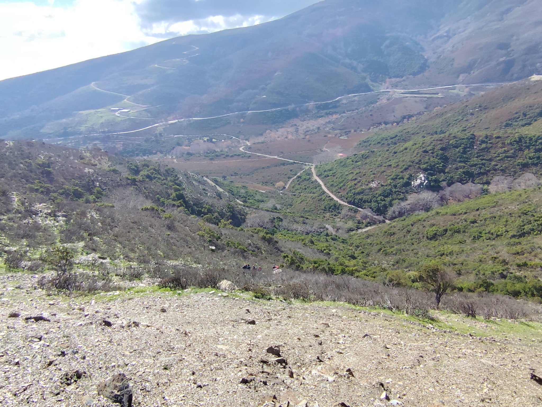 605528171 2956967147824450 474586839793272881 n