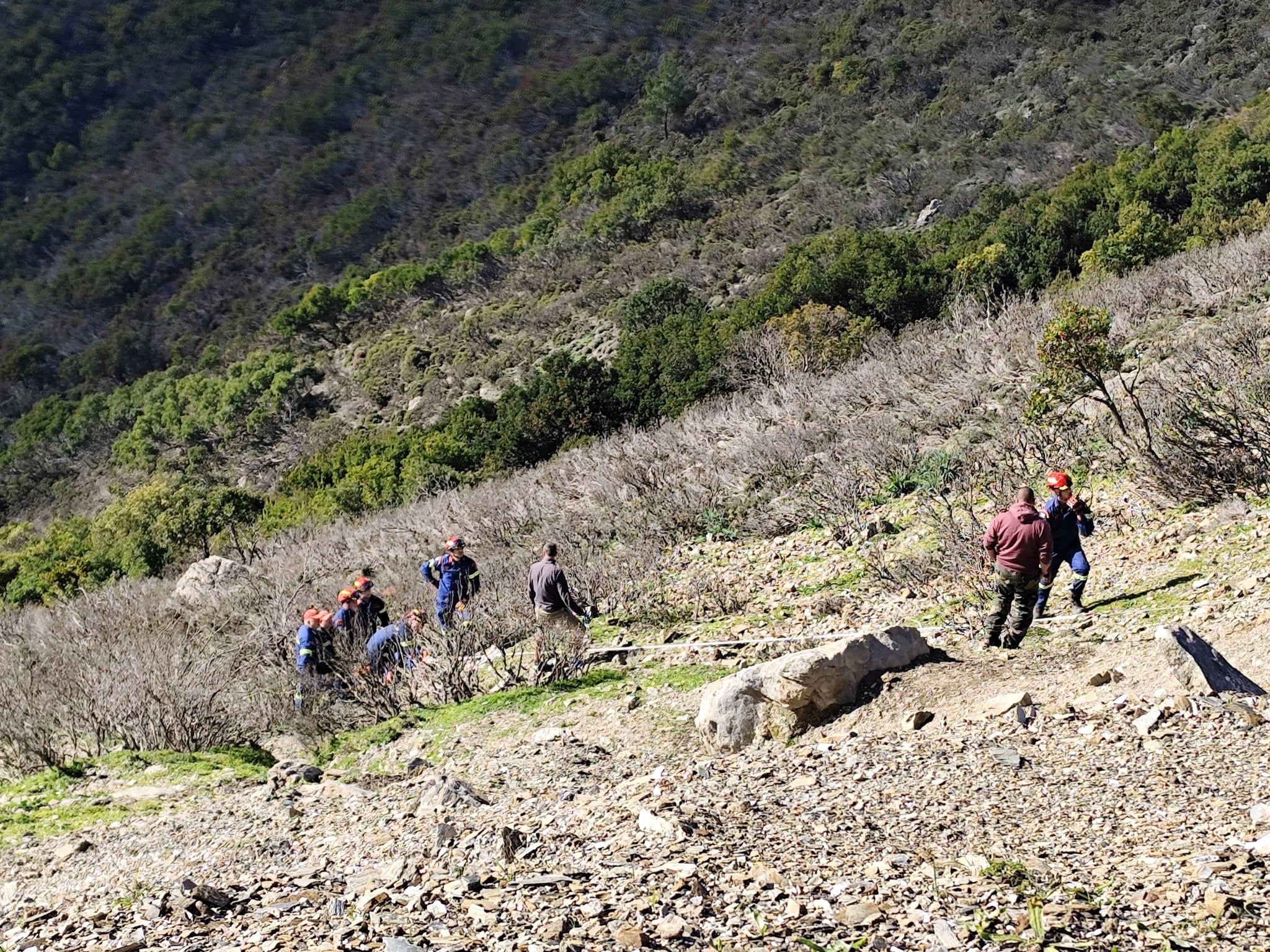 608130780 2956967424491089 3307105200933376414 n