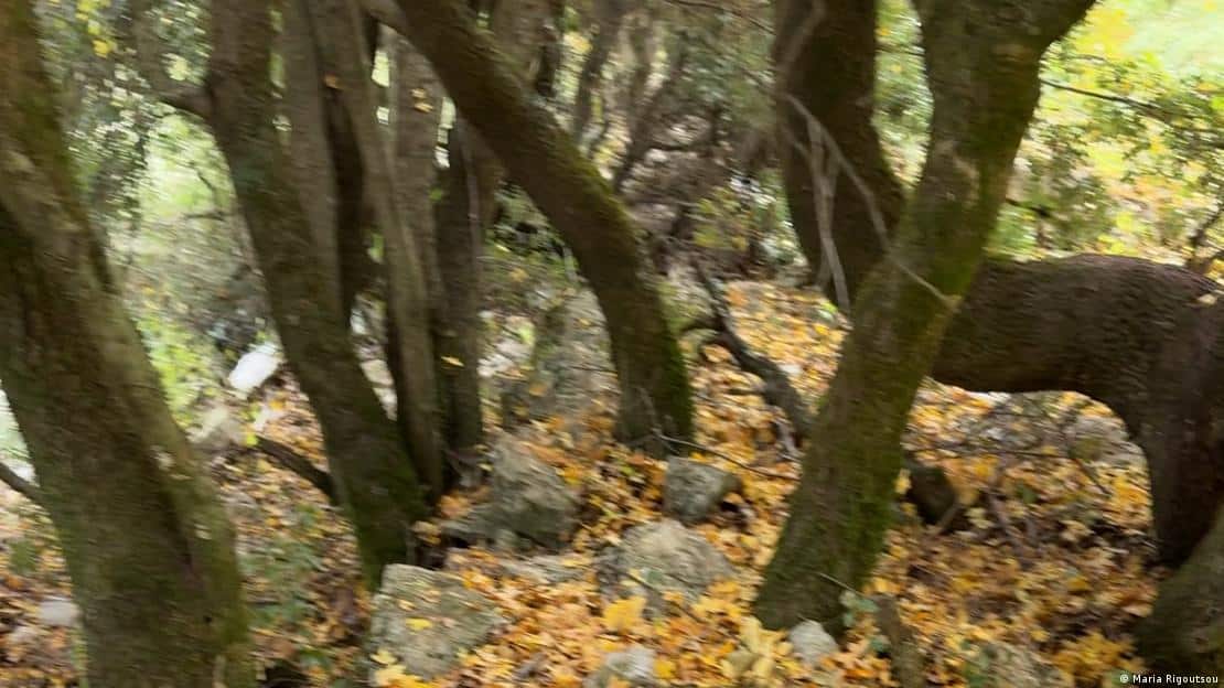 Σοκάρει ο κύριο Γιώργος: «Με απείλησαν ότι θα με φάνε οι αρκούδες και μου έφτιαξαν κηδειόχαρτο κολλημένο στο κέντρο του χωριού» 5 75065653 906