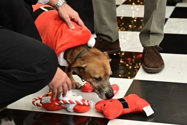 b2e1f0e6df8a49d9bd1403ad847a517f