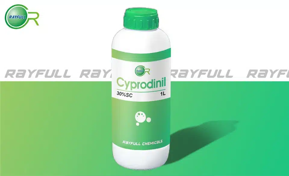 Μπλόκο σε πασίγνωστο ελληνικό φρούτο λόγω υπέρβασης ορίου φυτοφαρμάκου κατά 580% 3 cyprodinil25302249138