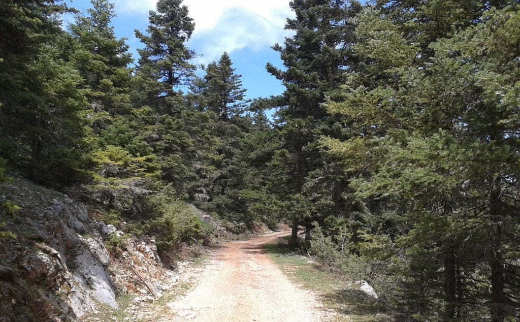 dasos pixabay 1024x634 1