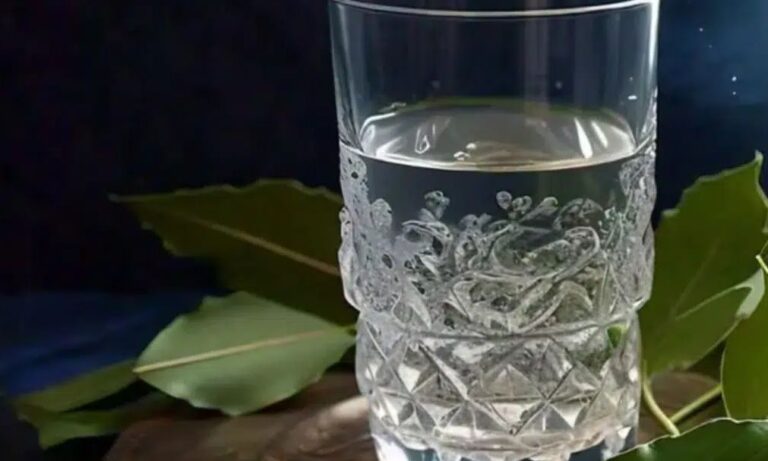 Δεν το ξέρει κανείς: Γιατί πρέπει να βάζετε φύλλα δάφνης στο νερό πριν από τις 24 Δεκεμβρίου