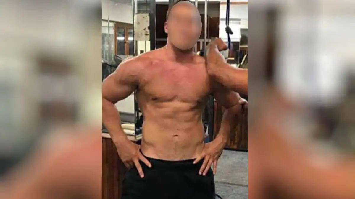 foinikounta anipsios 1200x675 1