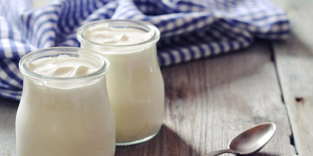 giaoyrti mia ploysia diaxroniki diatrofiki