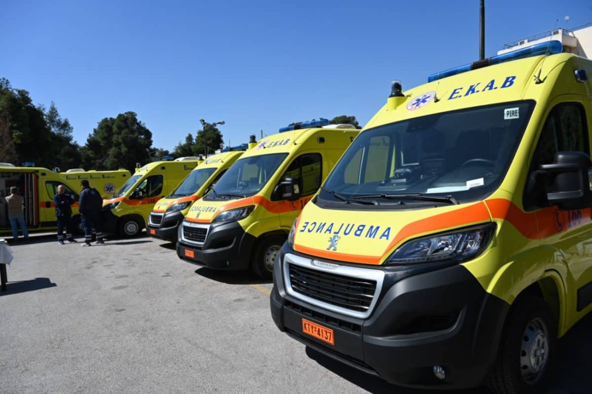 img 20250310 wa0027 1200x799 1