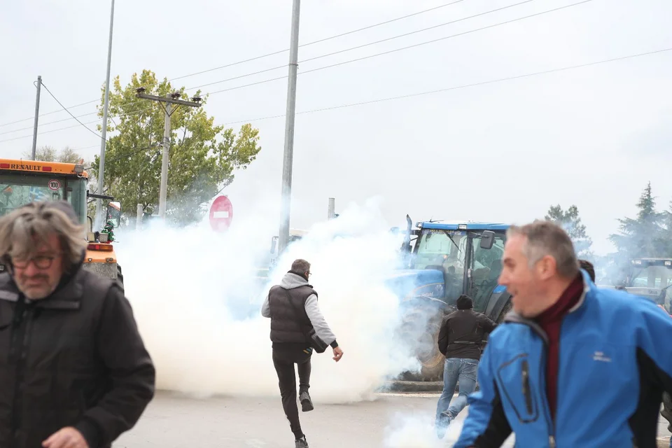 mat agrotes thessaloniki 2.jpg