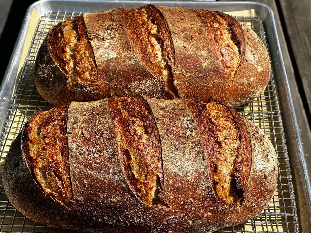 Δυσκοιλιότητα: Ποιο ψωμί βάζει το έντερο σε κίνηση – Πόσες φέτες να τρώτε την ημέρα 2 my rye bread baking experience v0 8am4v3gyu7bd1