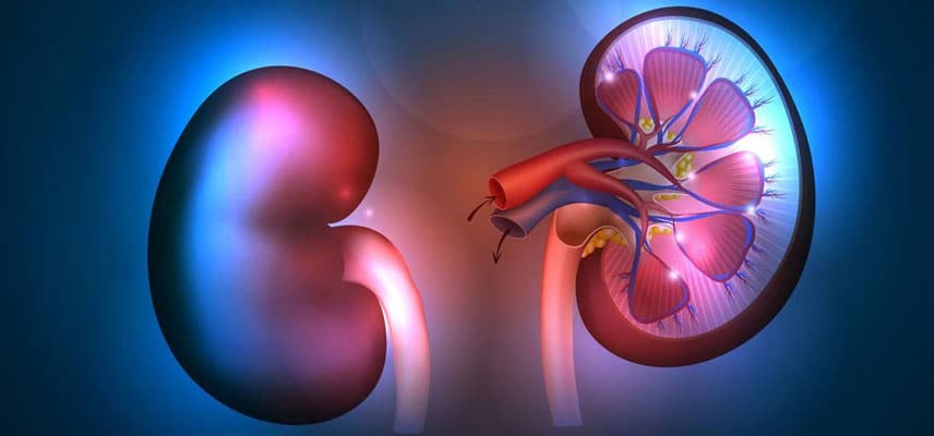 nefriki aneparkeia medium