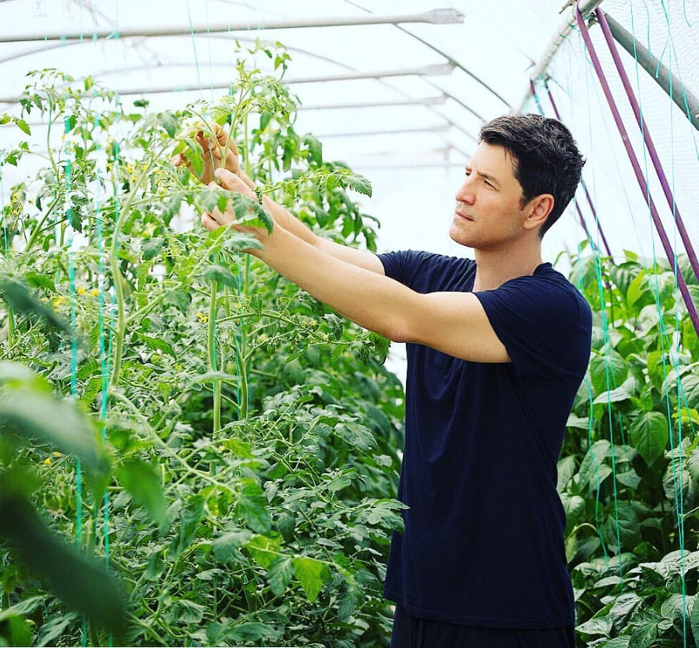 rouvas thermokipio spiti