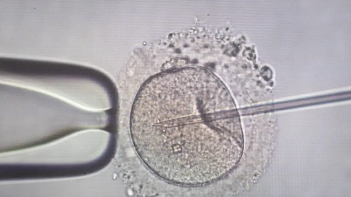 sperm injection 1200x675 1