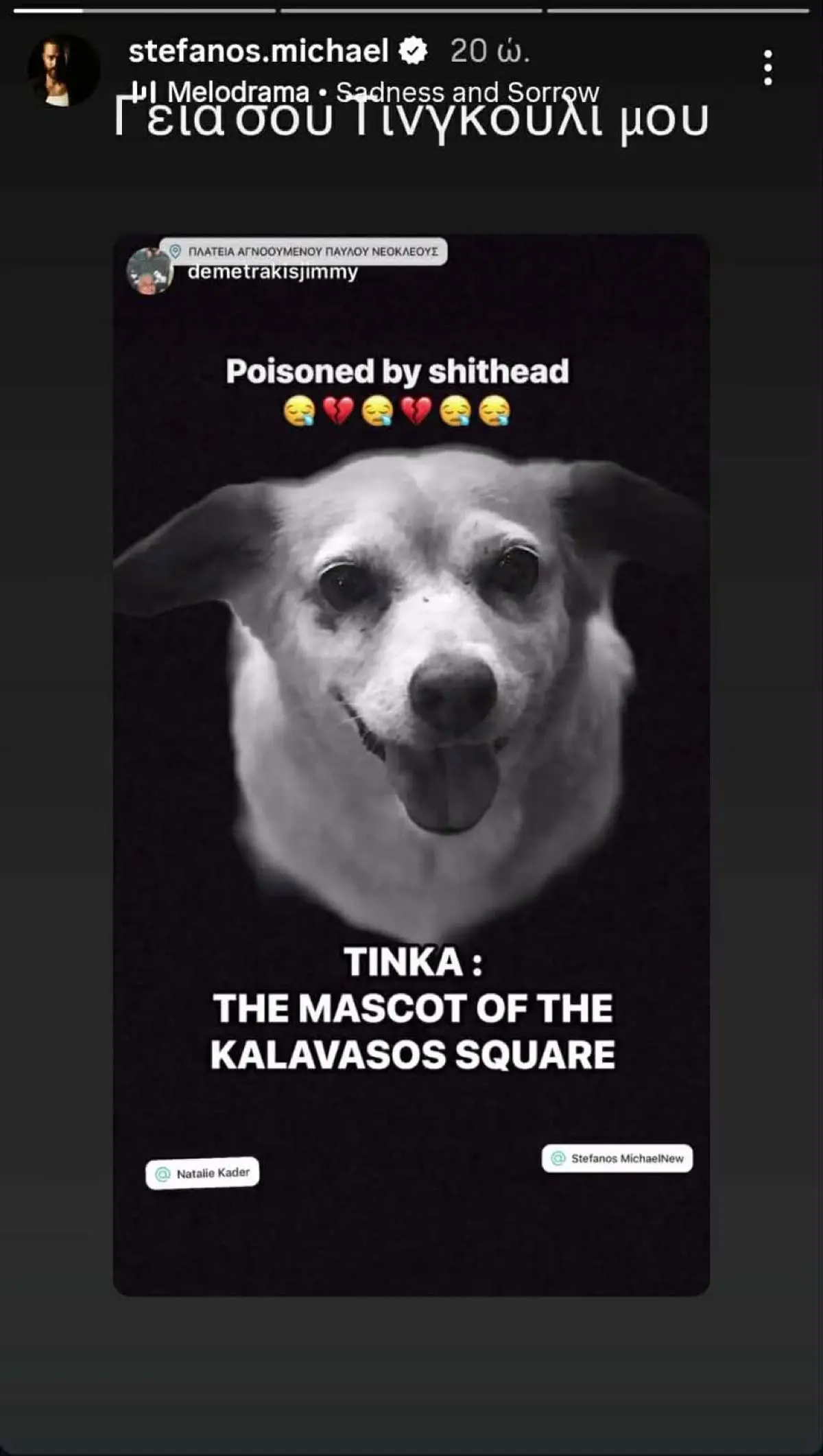 Στέφανος Μιχαήλ & Νάταλι Κάτερ – Έβαλαν φόλα στο σκυλάκι τους: «Υπάρχει Θεία Δίκη… Όλα θα βγουν στο φως» 1 stefanos michael story 2.jpg