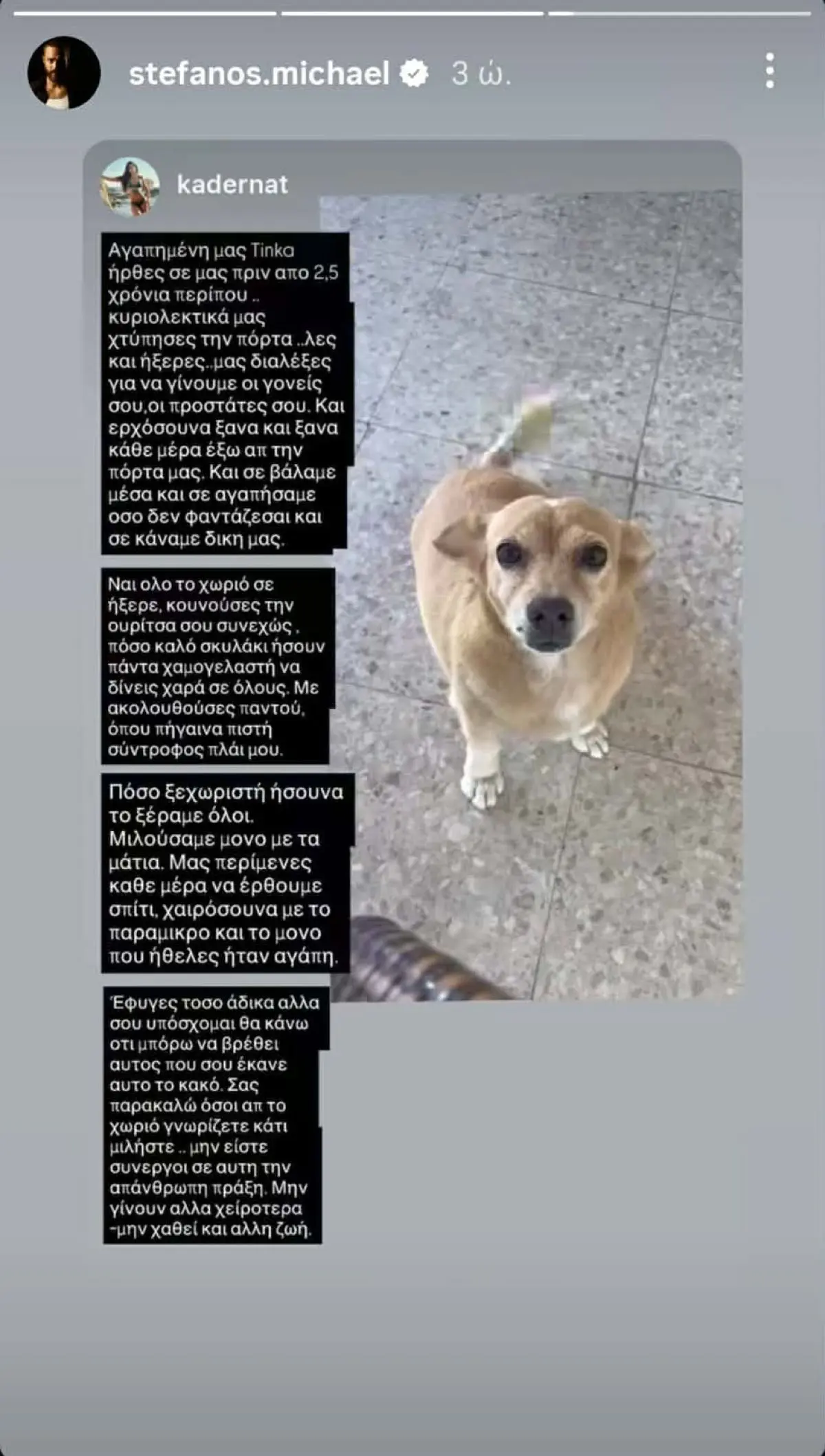 Στέφανος Μιχαήλ & Νάταλι Κάτερ – Έβαλαν φόλα στο σκυλάκι τους: «Υπάρχει Θεία Δίκη… Όλα θα βγουν στο φως» 3 stefanos michael story.jpg