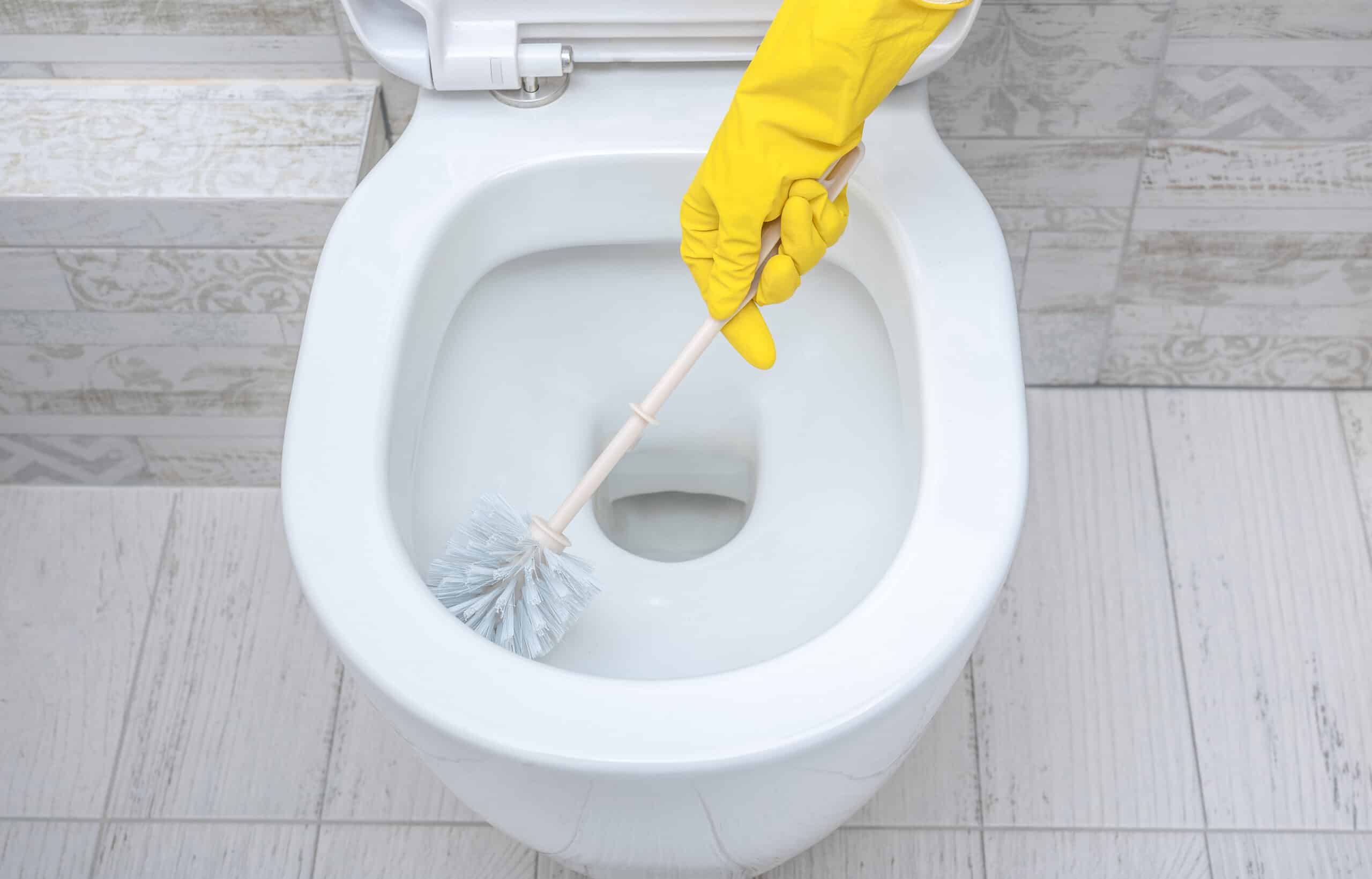 step by step guide on how to clean a toilet properly scaled