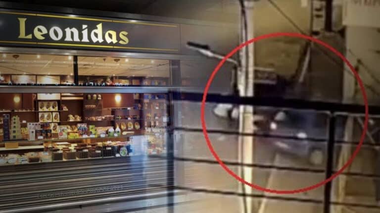 Γιος του ιδιοκτήτη των πασίγνωστων καταστημάτων σοκολάτας «Λεωνίδας» ήταν ο 24χρονος που σκοτώθηκε στη Λούτσα
