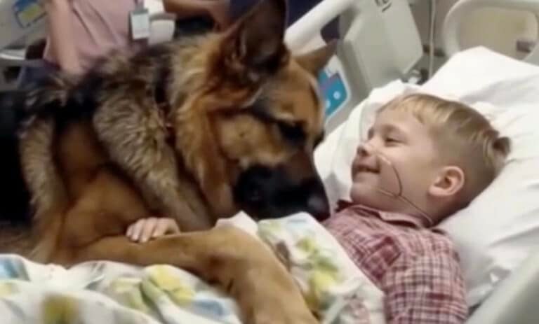 Αγόρι μοιράζεται μια συγκινητική αγκαλιά με τον σκύλο του πριν από το χειρουργείο