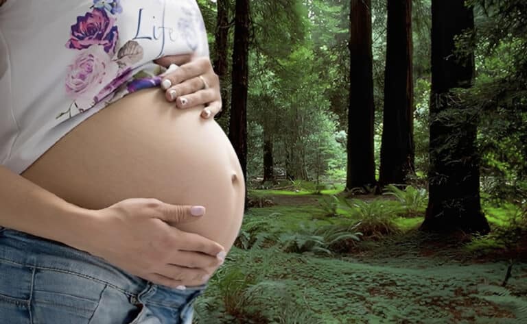 Θρίλερ με νεκρή έγκυο γυναίκα που βρέθηκε σε δάσος – Άφαντο το μωρό που είχε στην κοιλιά της