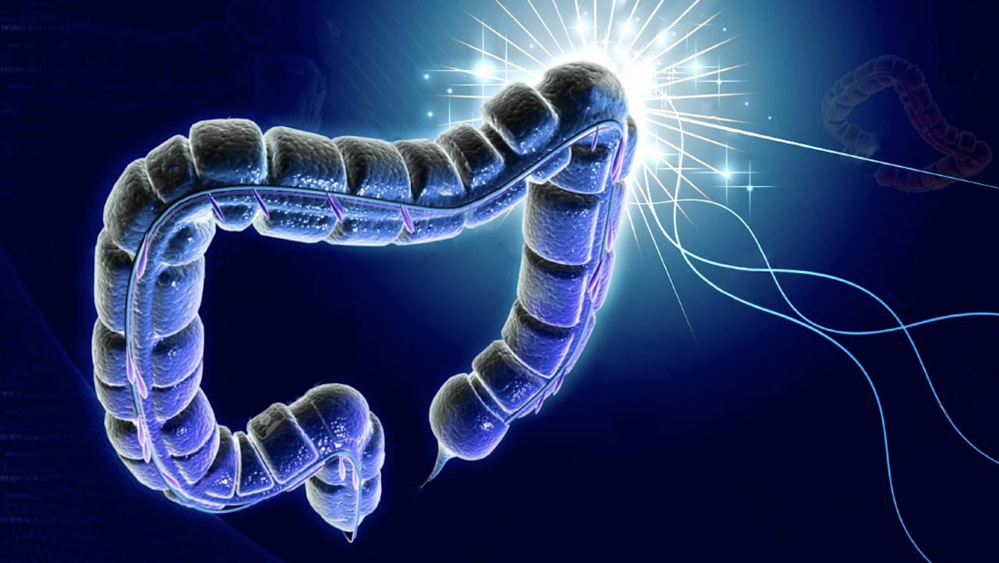 stigmiotypo othonis 2025 12 02 18.21.46