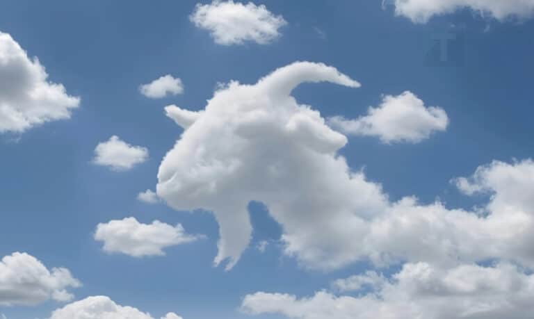 Είδατε πρώτα μια χελώνα ή μια καμήλα; Τι αποκαλύπτει αυτό για το πώς λειτουργεί ο εγκέφαλός σας