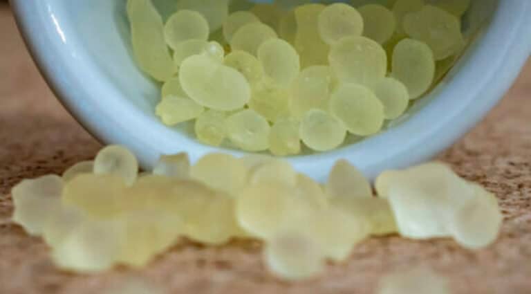 Το ελληνικό ελιξίριο υγείας που προστατεύει από έλκος, γαστρίτιδα και προλαμβάνει την τερηδόνα