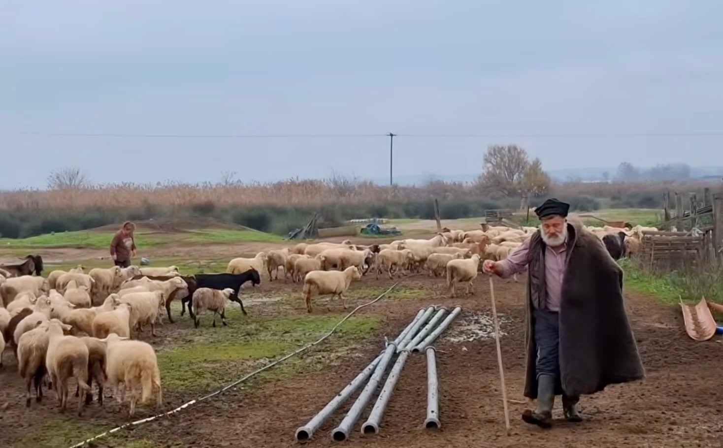 stigmiotypo othonis 2025 12 06 22.37.14