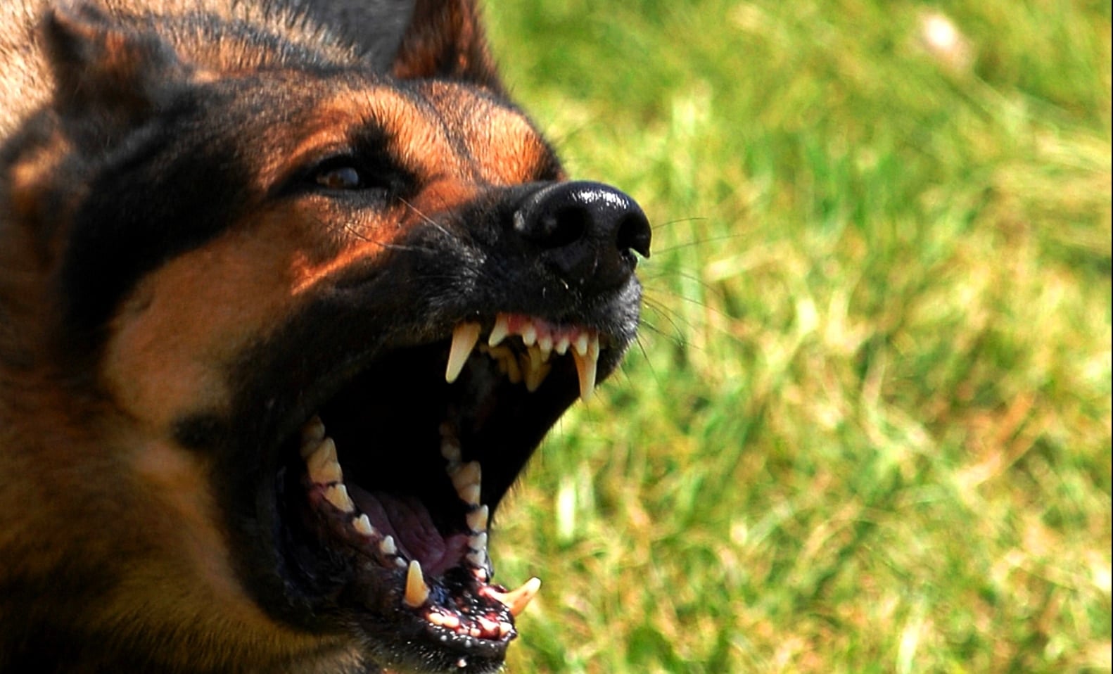 stigmiotypo othonis 2025 12 07 02.01.19