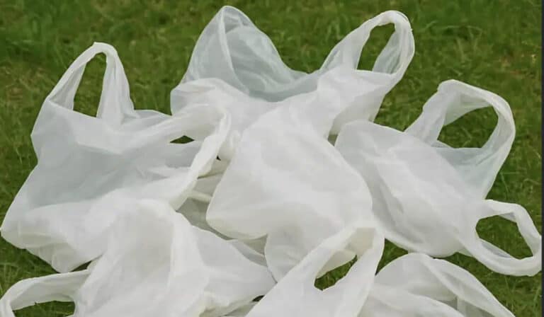 Σταματήστε να πετάτε τις πλαστικές σακούλες από τα ψώνια – 10 έξυπνα κóλπα για να τις χρησιμοποιήσετε μέσα στο σπίτι