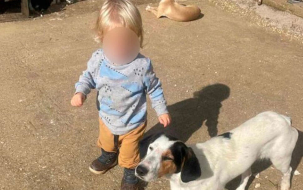 Θρήνος για τον μικρό άγγελο της Ζακύνθου - Αυτός είναι ο λόγος που το πίτμπουλ τον κατασπάραξε και τον σκότωσε 1 stigmiotypo othonis 2025 12 07 19.12.22