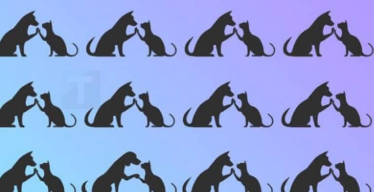 Βρείτε τι πάει λάθος σε αυτή την φωτογραφία και εκπαιδεύστε τον εγκέφαλο σας