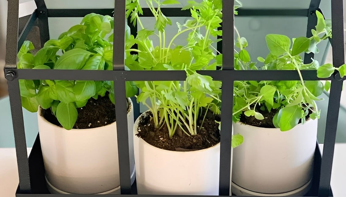 stigmiotypo othonis 2025 12 08 18.19.58