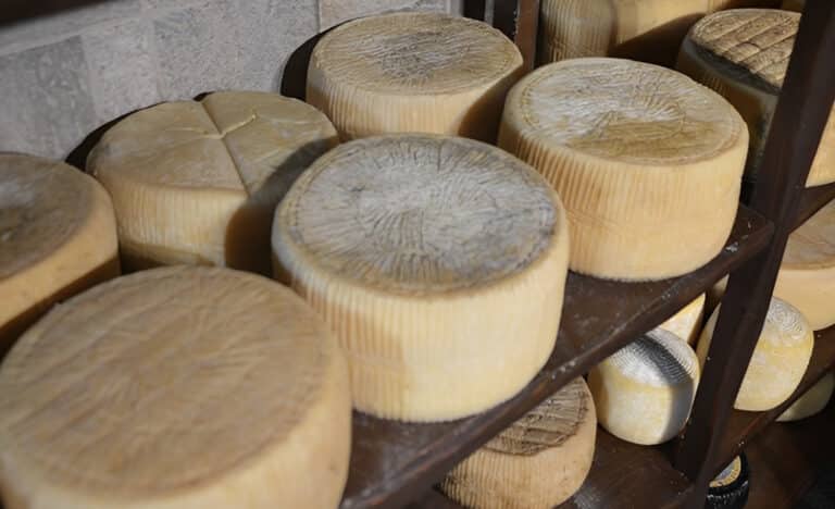  Σαρώνει η Ελλάδα – Το καλύτερο τυρί του κόσμου είναι ελληνικό για το 2025 – Αυτό είναι