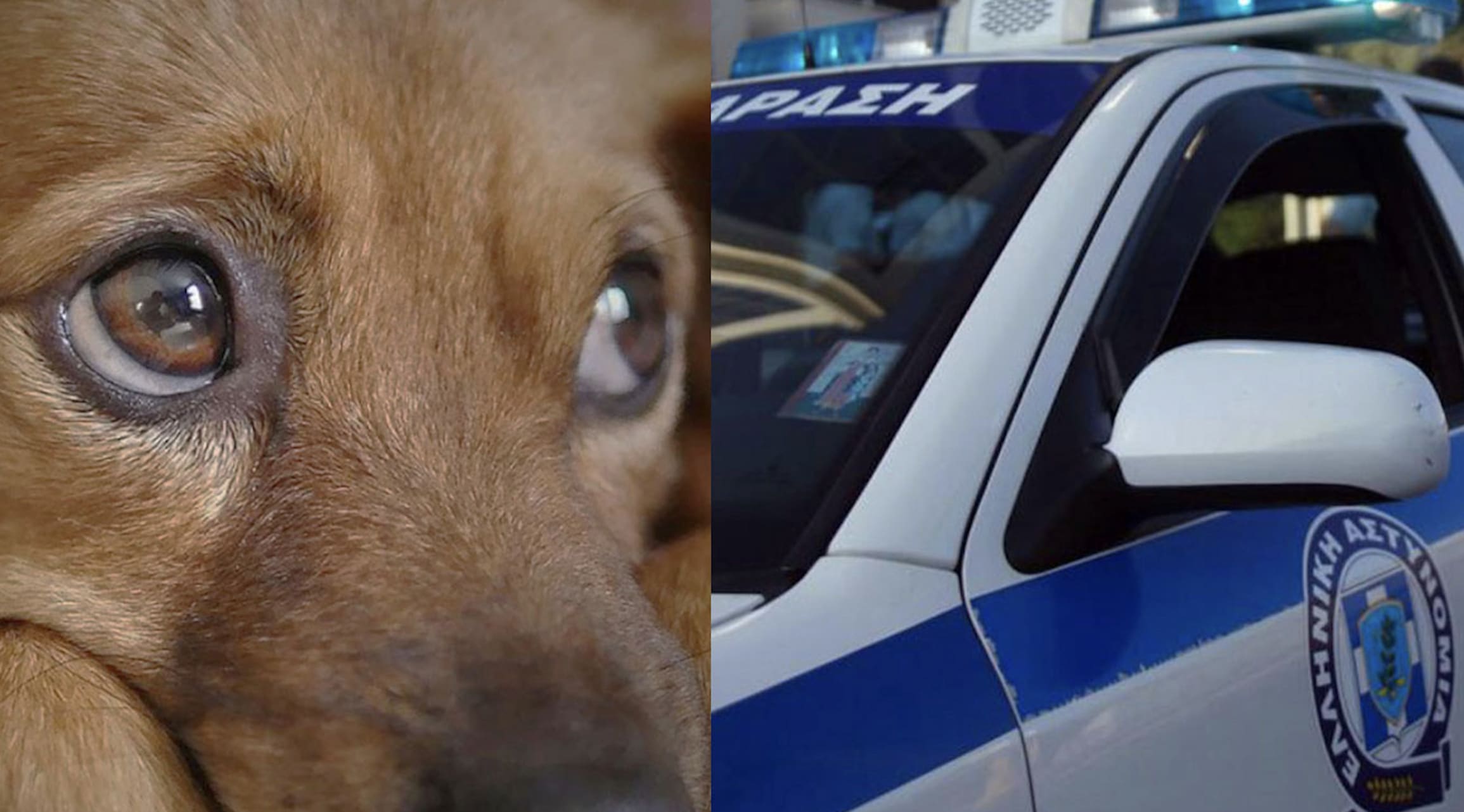 stigmiotypo othonis 2025 12 11 15.43.57