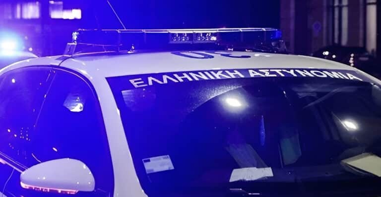 25χρονος επιτέθηκε σε 89χρονη που θανάτωσε κουτάβια